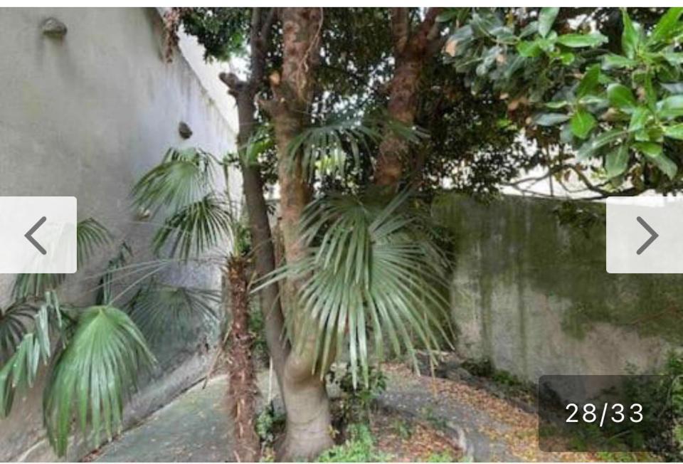 Detente Au Fil De L Eau Jardin Barbecue Pour 4 Personnes Castelnaudary Exteriör bild